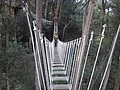 DSC08859.JPG