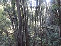 DSC08860.JPG