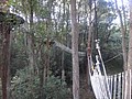 DSC08861.JPG