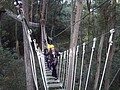 DSC08862.JPG