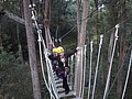 DSC08863.JPG
