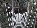 DSC08866.JPG