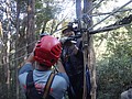 DSC08869.JPG