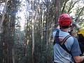 DSC08870.JPG