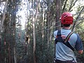 DSC08871.JPG