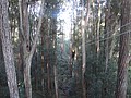 DSC08873.JPG