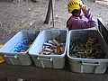 DSC08877.JPG
