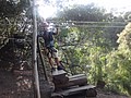 DSC08881.JPG