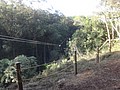DSC08887.JPG