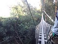 DSC08888.JPG