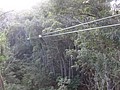 DSC08890.JPG