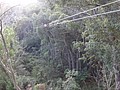 DSC08895.JPG