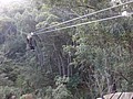 DSC08896.JPG