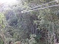DSC08899.JPG