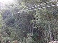 DSC08900.JPG