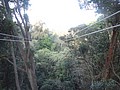 DSC08904.JPG