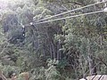 DSC08906.JPG