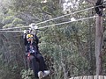 DSC08907.JPG