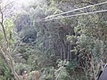 DSC08908.JPG