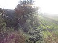 DSC08914.JPG