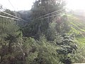 DSC08920.JPG