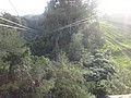 DSC08921.JPG