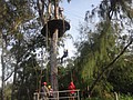 DSC08930.JPG