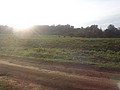 DSC08931.JPG