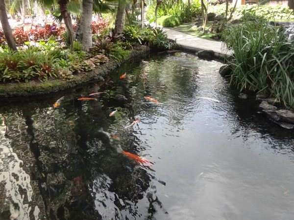 DSC09058.JPG