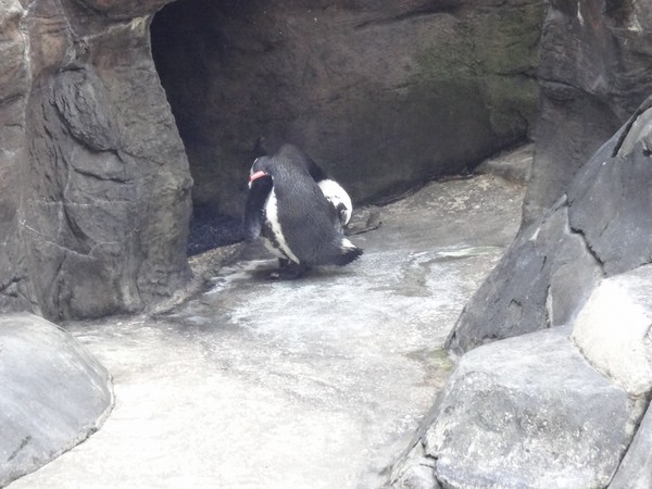 DSC09060.JPG
