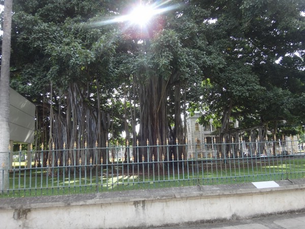 DSC09090.JPG