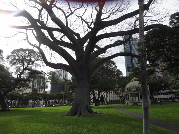 DSC09094.JPG