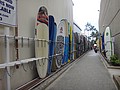 DSC08996.JPG
