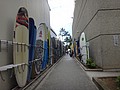 DSC09005.JPG