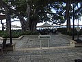 DSC09012.JPG