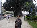 DSC09020.JPG