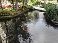 DSC09058.JPG