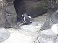 DSC09060.JPG