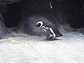 DSC09061.JPG