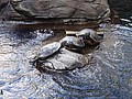 DSC09062.JPG