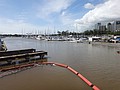 DSC09073.JPG
