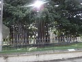 DSC09090.JPG