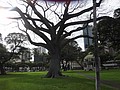 DSC09094.JPG