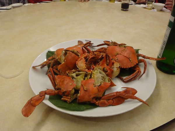 DSC09112.JPG