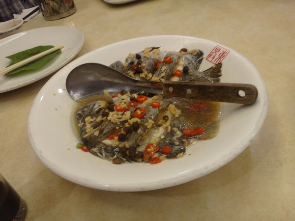 DSC09120.JPG