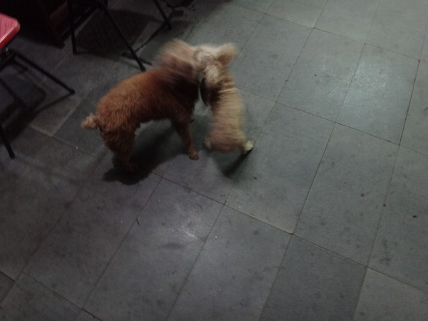 DSC09256.JPG