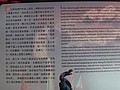 DSC09137.JPG