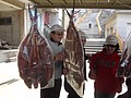 DSC09141.JPG