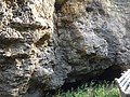 DSC09180.JPG