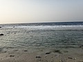 DSC09192.JPG